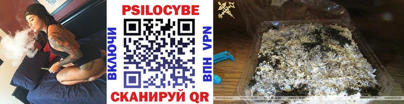 Купить  Мезень  Псилоцибиновые грибы Psilocybe 